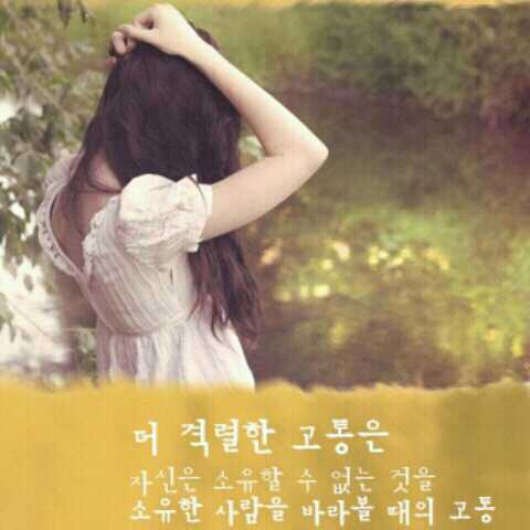 집