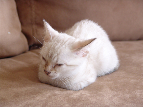 Tobby Profile