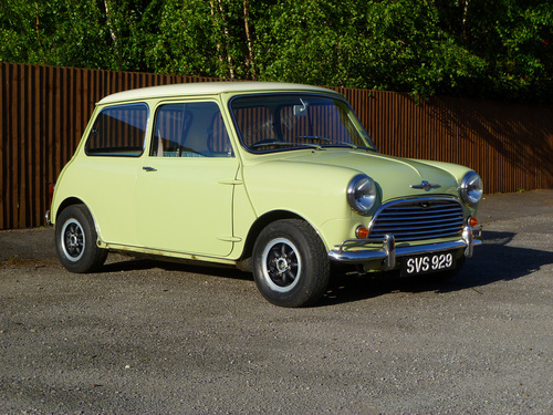 Rich_Cone's profile picture. 