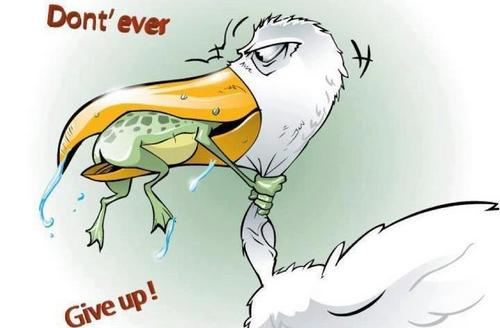 w_kungu's profile picture. 