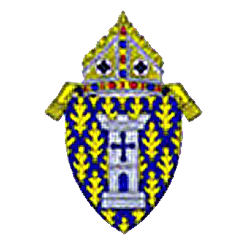 The Diocese of Ogdensburg was established by Pope Pius IX on February 16, 1872.  It currently has a Catholic population of 111,638.