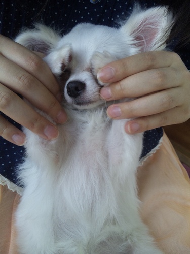 atts_ownpace's profile picture. 