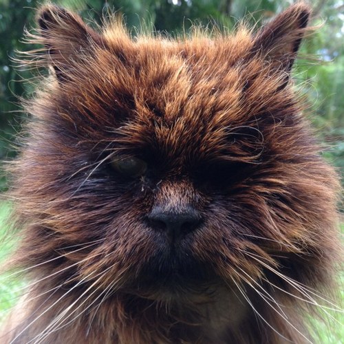 askwhyaskwhy's profile picture. Question everything.