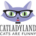 Catladyland (@catladyland) Twitter profile photo