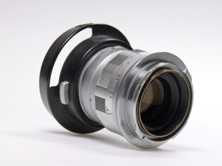 martenroot's profile picture. 