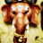 evkoe's profile image