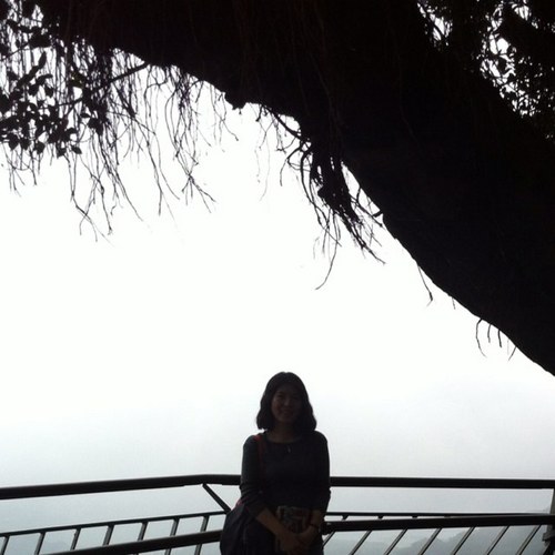 younguknim's profile picture. 서울/82멍멍이/크리스챤/행복한보수/여행/요가/개그콘서트/365일 다이어트 *따뜻한 대한민국을 꿈꿉니다^^