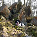 Clare Cartwright - @ckrc1968 - Twitter