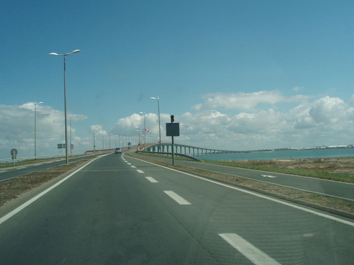 capitaineollier's profile picture. 