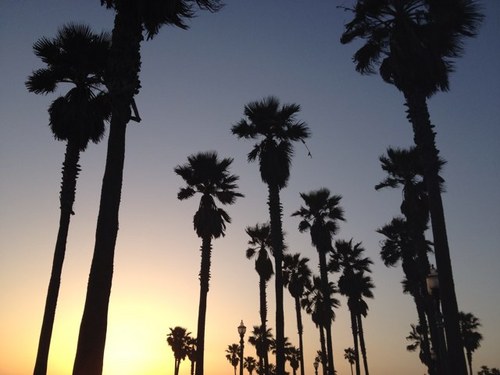 peterson_chip's profile picture. 