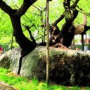 Ronny Bernstein - @LearningGrounds - Twitter