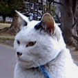 統合失調症とアスペルガー症候群を患っています。精神障害のためか一つの会社に定着出来ず、4つの会社に勤めました。若いころからフェミニストです。電気工学科の修士課程を出ています。興味は科学やSF。現在の楽しみはZUMBAとストリップ劇場に行くことです。性別は男性。座右の銘は「現在に生きる者は永遠に生きる」。