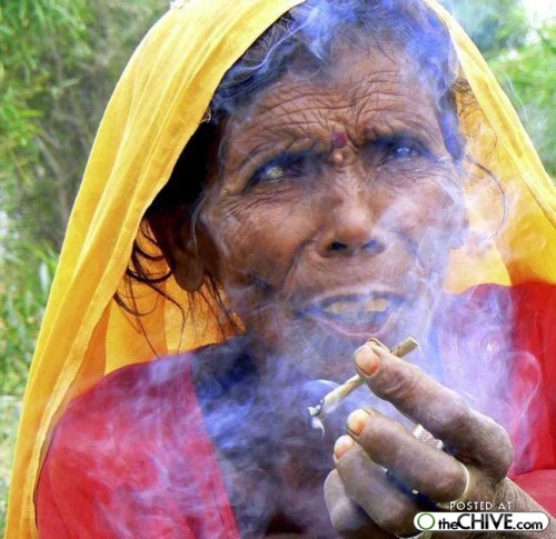 M0_BELL's profile picture. 