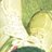 o_iversen's profile image