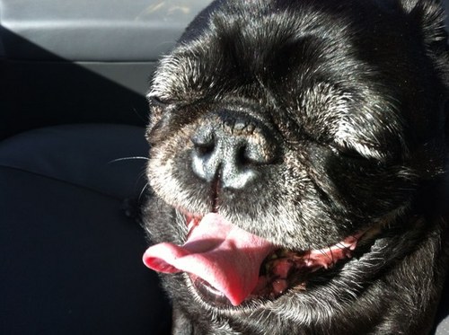 RichInClothing's profile picture. 