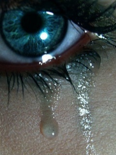 AllaKabaeva's profile picture. Люблю музыку, танцы, юмор. Взаимный фолловинг.