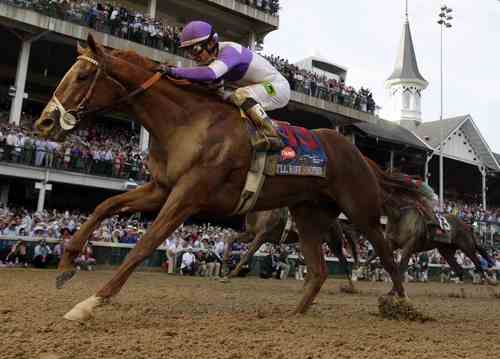 all i do is trytrytry. Gambler and horse racing handicapper.