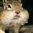 GogoshashB's profile image