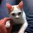 takeshishimo's profile image