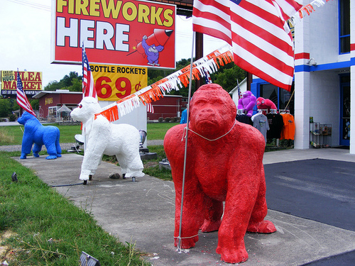 Gorillafirework's profile picture. We have a great variety of Fireworks, T-Shirts, Souvenirs and so much more!
