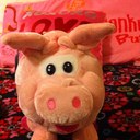 Emily sheets - @izzymcmill - Twitter