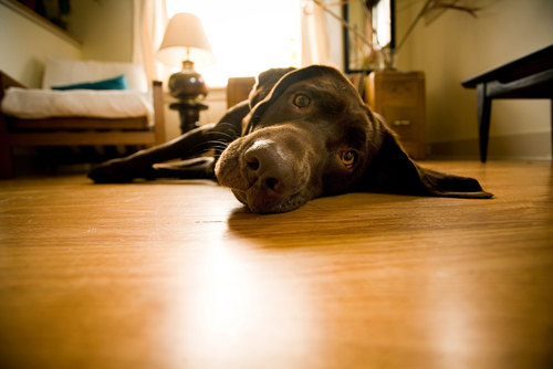 2539bean's profile picture. 