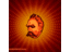 nassimkuss's profile image