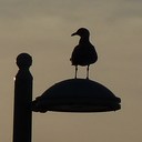 CORNET Emmanuel - @EmmanuelCornet - Twitter