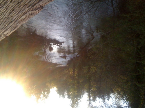 LawsofLiving's profile picture. Karen Monteverdi is the author of Living Consciously in an Ego Driven Society