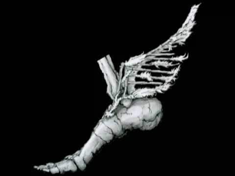 otcm_miler's profile picture. Masters Middle Distance Runner, Oregon Track Club