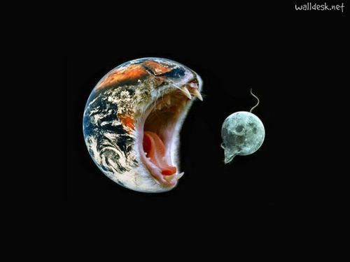 Vitor12Hotmail's profile picture. 