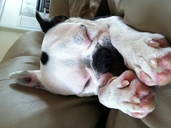 Aquamom21's profile picture. I'm a married mom and I sometimes hug a tree. I'm totally obsessed with antique sewing machines.