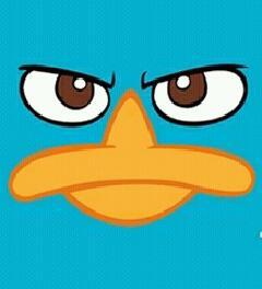 _wollof_follow_'s profile picture. .i follow you forever if you follow me.