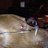 dewar_robin's profile image