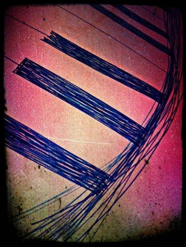 lyrical_lovers's profile picture. you know when a song just says it perfectly? #any genre #any song #any meaning - just share!