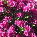 LEONARD SLAUGHTER - @len462000 - Twitter