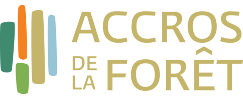 Accrosdelaforet's profile picture. Passionnés par tout ce qui se passe en forêt, suivez les Accros de la forêt. Tourisme, bois, champignons, emplois, innovations, technologies,  et + encore...