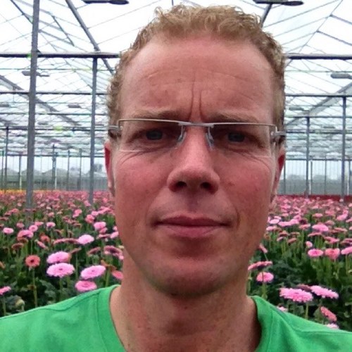 GerberaConsult's profile picture. Consultant Gerbera, actief binnen Flori Consult Group. Geeft advies over alle factoren die teeltsturing optimaliseren
