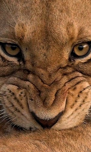 HaasYacine's profile picture. Actually preparing a PhD in International Trade in Wuhan University (China), I'm regularly posting my articles on my blog dedicated to Doing Business in China.