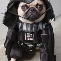 Darth(@Vader_EU) 's Twitter Profile Photo