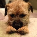 Christopher Birch - @Birchy0007 - Twitter