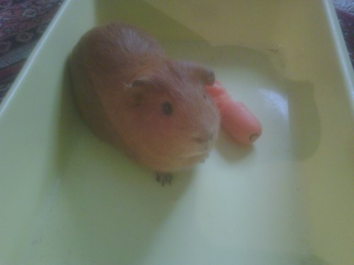 Parsifal2's profile picture. Chairman of Bell Pottinger Public Affairs and one of the UK's leading lobbyists. Opera lover ...