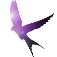eivissa (@eivissa_ba) 's Twitter Profile