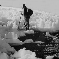 Álvaro Vivanco (@avivancov) 's Twitter Profile