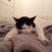 dommibertrand's profile image