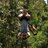 radtechtraveler's profile image