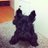 carayacohen's profile image