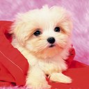 Hailey DeRosa - @HaileyDeRosa - Twitter