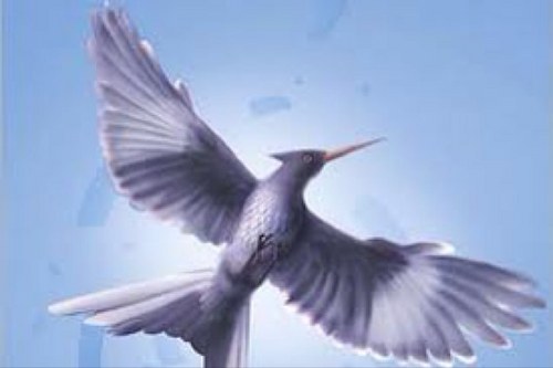 realkatniss12's profile picture. peeta