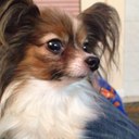 Kim Speed - @kimberlyspeed - Twitter